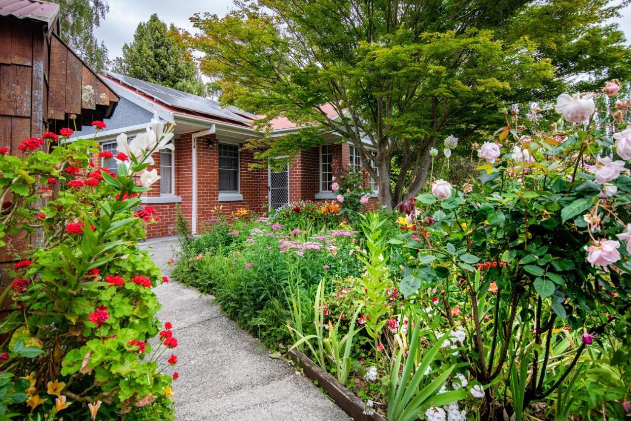 Alexandria Bed And Breakfast Wynyard Bagian luar foto